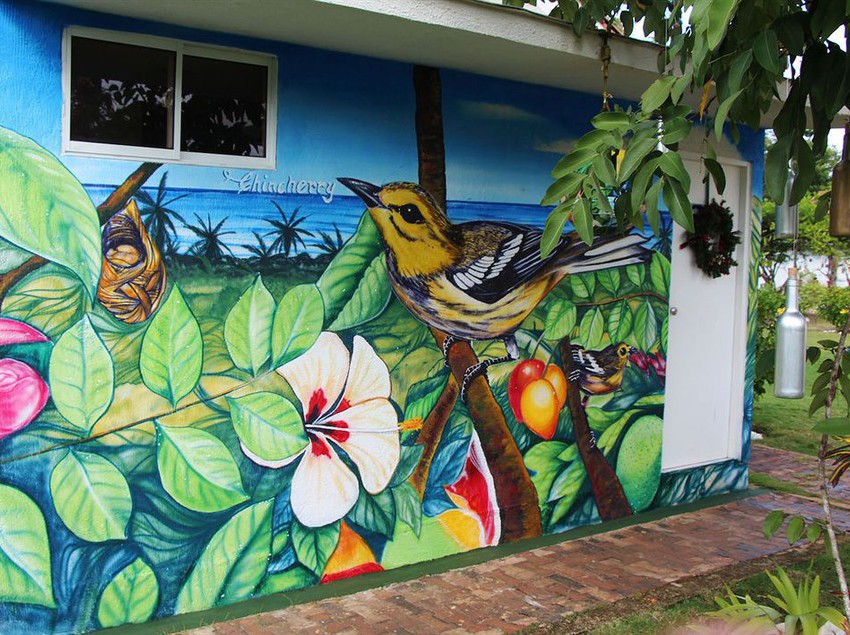 Hotel Hosteria Mar Y Sol | San Andrés | San Andres y Providencia | Colombia 7