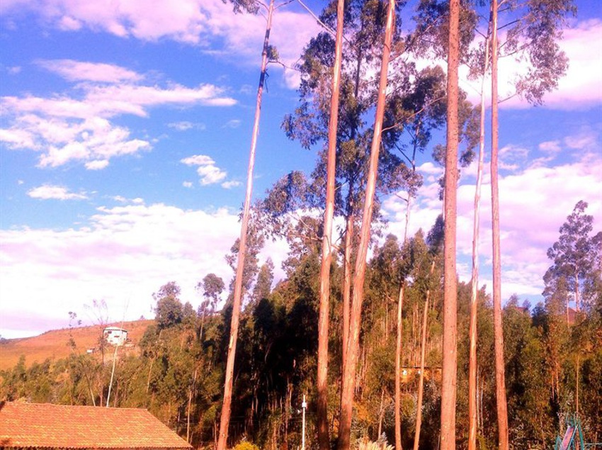 Hotel Hostería Caballo Campana | Cuenca | Azuay | Ecuador 17