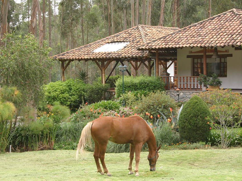 Hotel Hostería Caballo Campana | Cuenca | Azuay | Ecuador 8