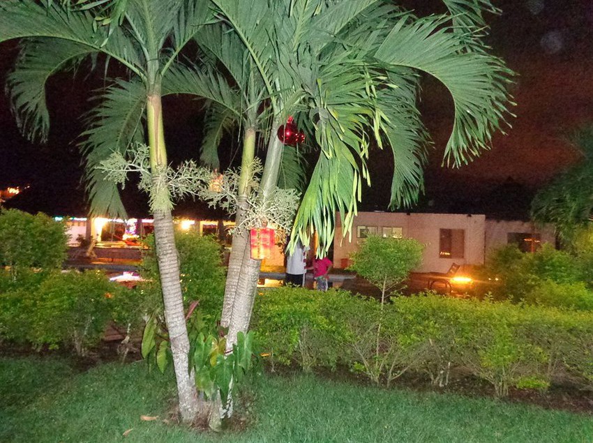 Hotel Campestre Arboretto | Villavicencio | Meta | Colombia 2