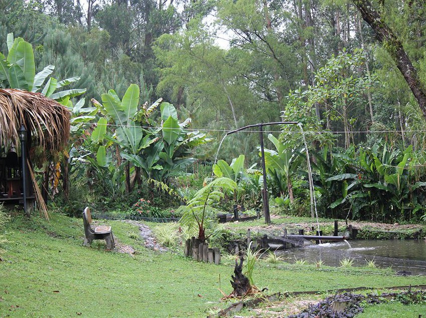 Hotel Llanogrande Inn Rionegro Antioquia