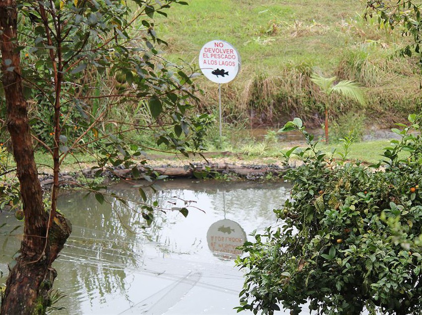 Hotel Llanogrande Inn | Rionegro | Antioquia | Colombia 5