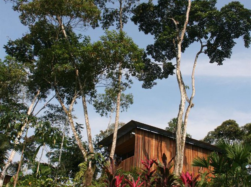 Hotel Hamadryade Lodge | Tena | Napo | Ecuador 12
