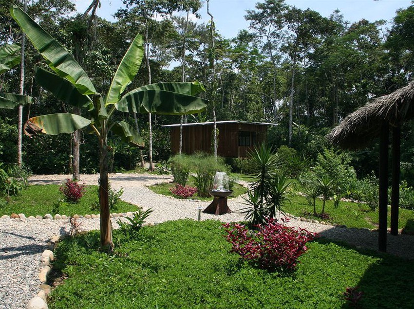Hotel Hamadryade Lodge | Tena | Napo | Ecuador 4