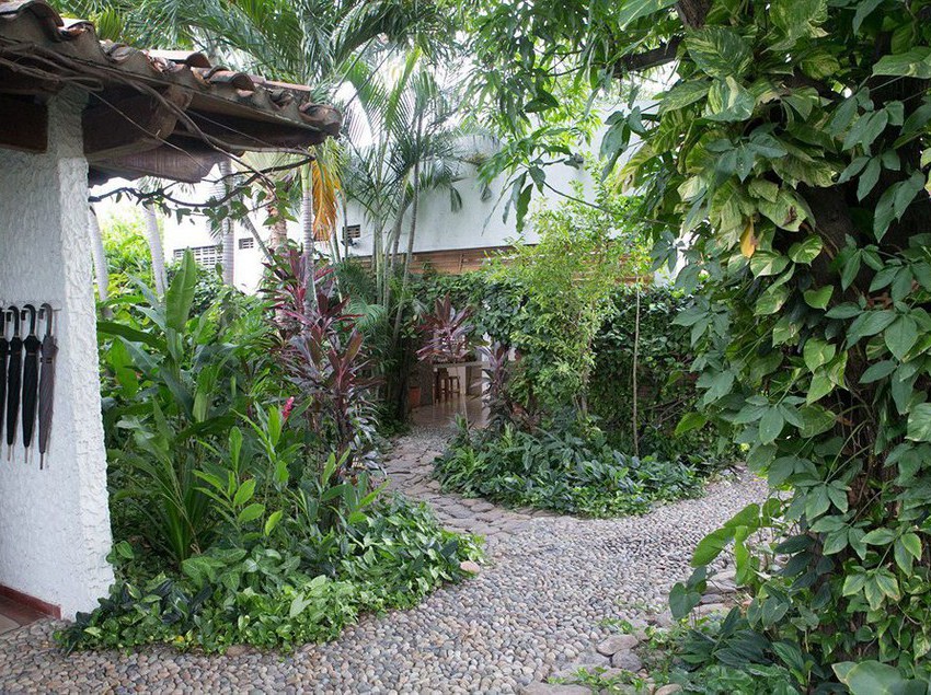 La Casa Rosalía | Valledupar | Cesar | Colombia 7