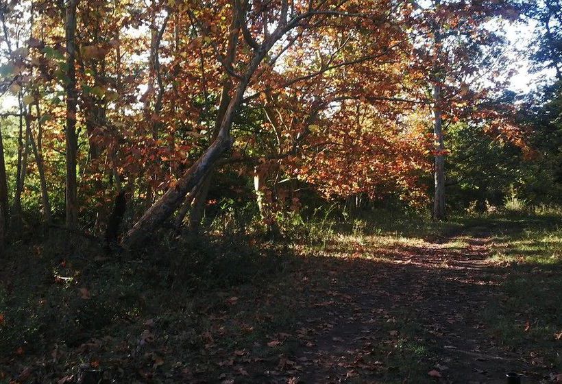 Hotel Estancia San Pedro de Timote | Cerro Colorado | Florida | Uruguay 15