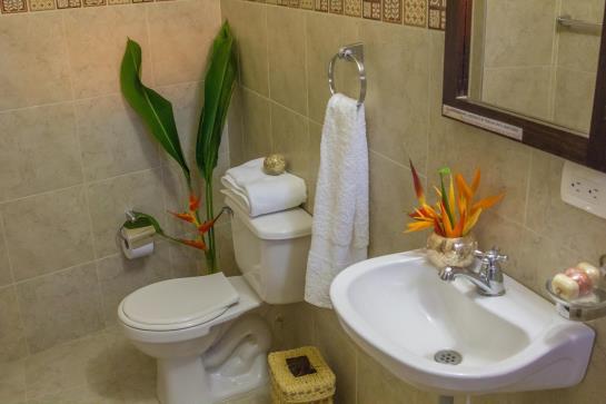 The Amazon Bed & Breakfast | Leticia | Amazonas | Colombia 8