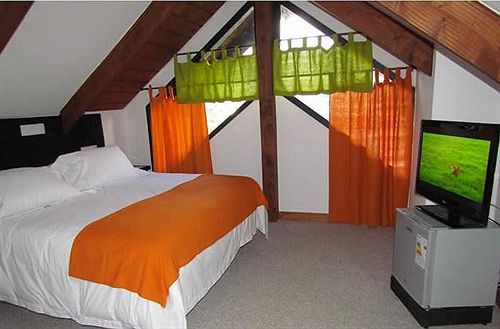 Hotel Munich | Pucon | Araucanía | Chile 19