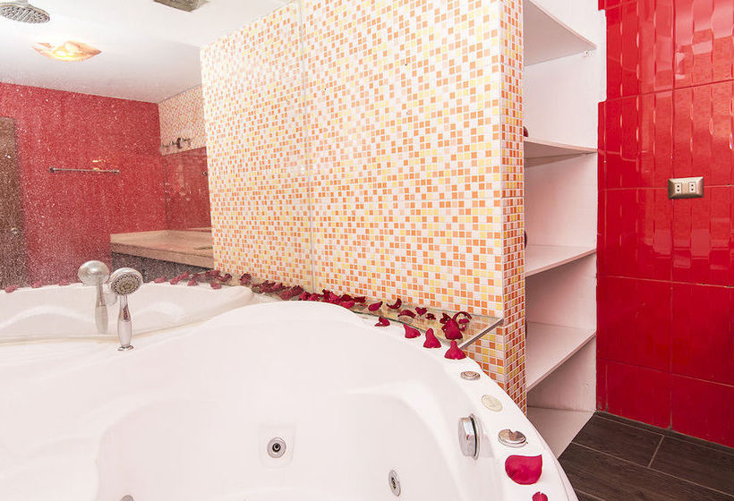 Hotel The Llama Brothers Boutique | Lima | Lima | Perú 14