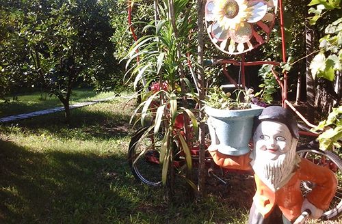 Carmelo Hostel | Carmelo | Colonia | Uruguay