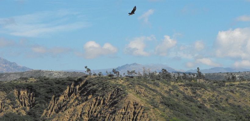 Hotel Sky Hacienda | Yotala | Bolivia | América del Sur 15
