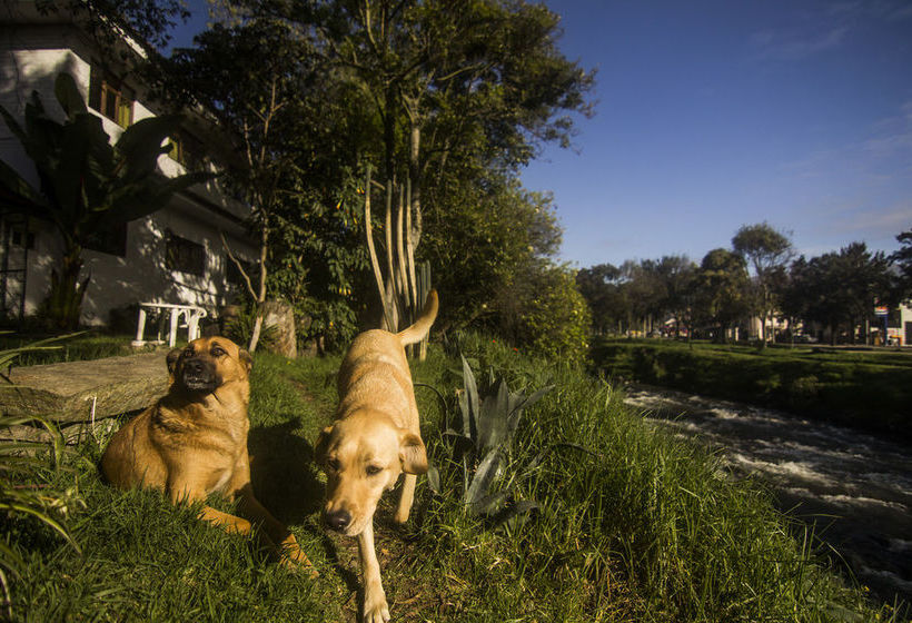 Apartamentos Otorongo | Cuenca | Azuay | Ecuador 20