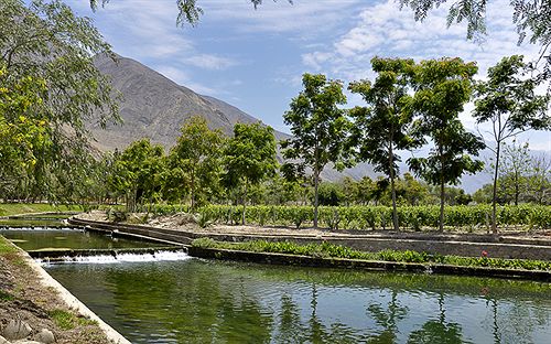 Guizado Portillo Resort | Lunahuaná | Cañete | Perú 16
