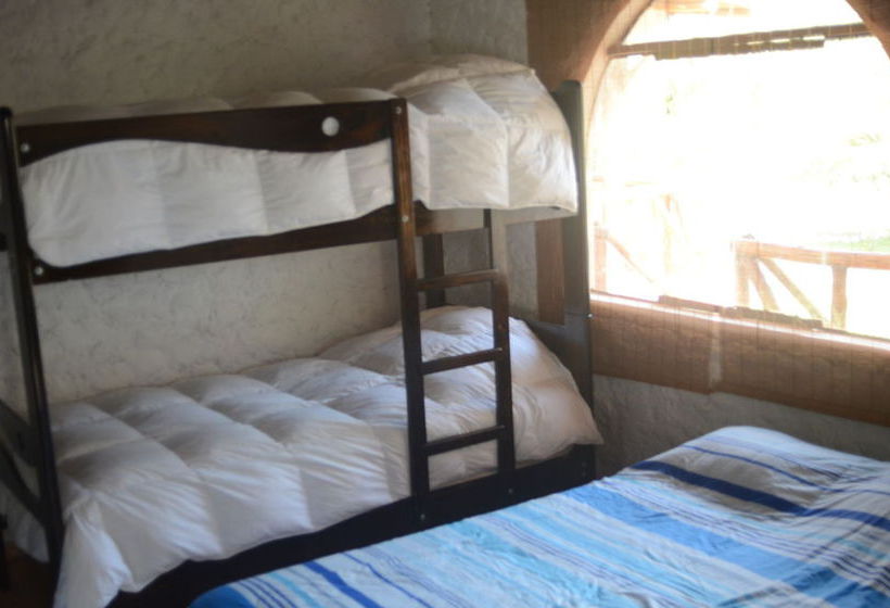 Viña de los Reyes Hotel & Camping | Lunahuaná | Cañete | Perú 17