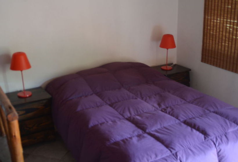 Viña de los Reyes Hotel & Camping | Lunahuaná | Cañete | Perú 4