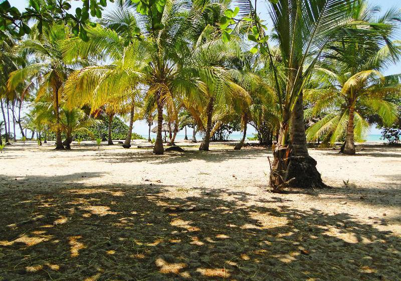 Hotel Playa Mandala | Santa Marta | Magdalena | Colombia 2