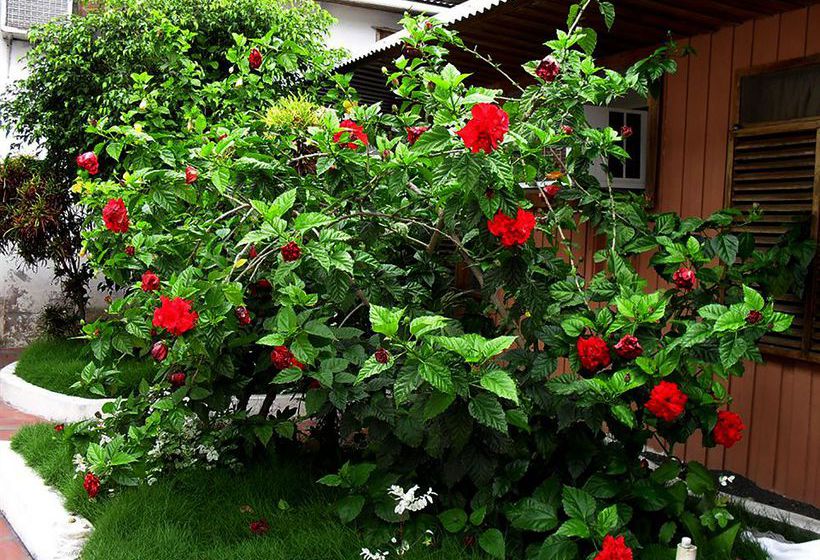 Hotel Castro Galapagos | Puerto Ayora | Galápagos | Ecuador 7