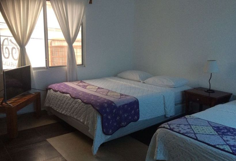 Hotel Red Mangrove Divers Lodge | Puerto Ayora | Galápagos | Ecuador 11