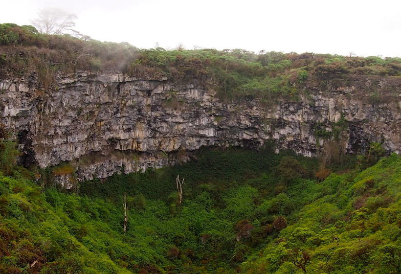 Hotel Red Mangrove Divers Lodge | Puerto Ayora | Galápagos | Ecuador 3