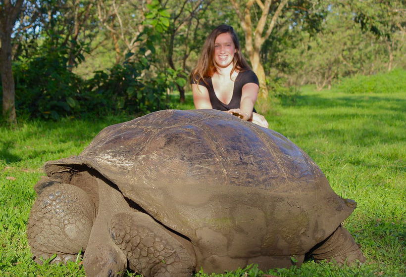 Hotel Red Mangrove Divers Lodge | Puerto Ayora | Galápagos | Ecuador 4