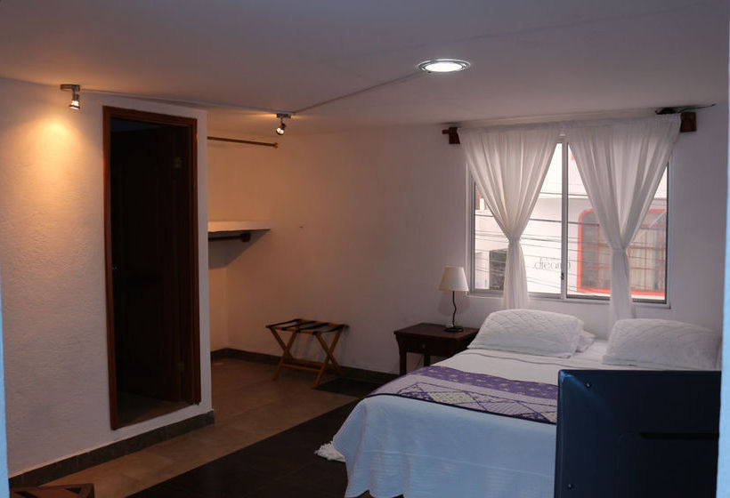 Hotel Red Mangrove Divers Lodge | Puerto Ayora | Galápagos | Ecuador 9