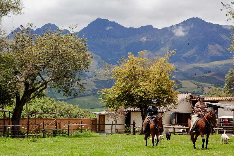 Hotel Hosteria Papagayo | Machachi | Pichincha | Ecuador 1