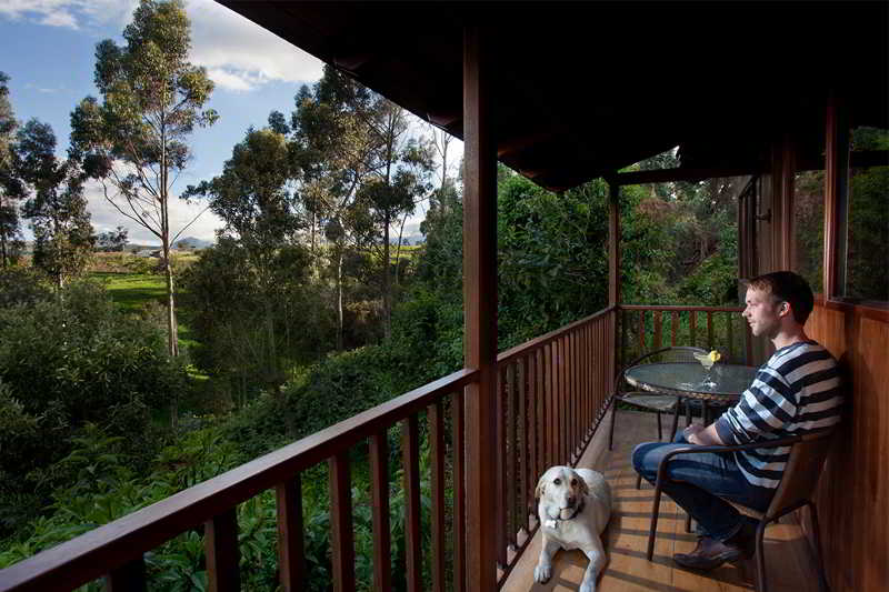 Hotel Hosteria Papagayo | Machachi | Pichincha | Ecuador 14