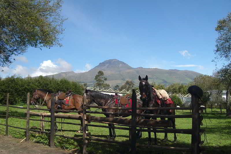 Hotel Hosteria Papagayo | Machachi | Pichincha | Ecuador 2