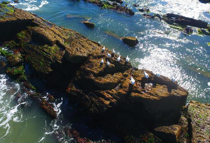 Hotel La Tuna | La Paloma | Rocha | Uruguay 6