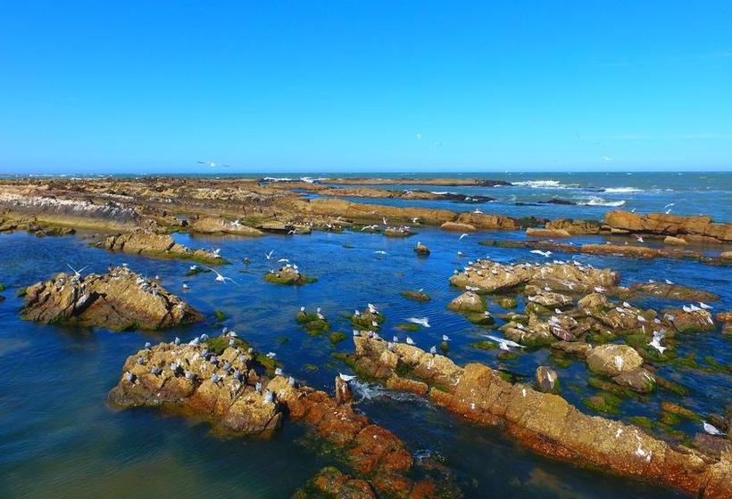 Hotel La Tuna | La Paloma | Rocha | Uruguay 7