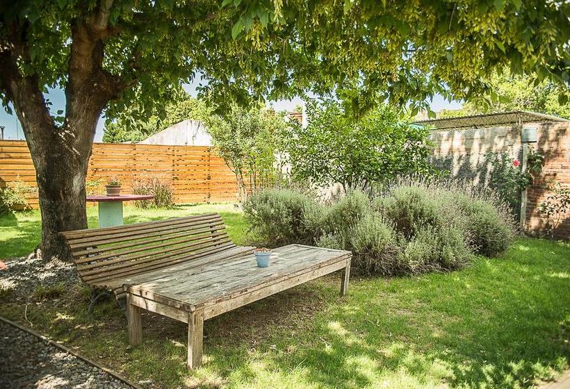 Hotel Ah'lo Posada Hostel Boutique | Carmelo | Colonia | Uruguay 6