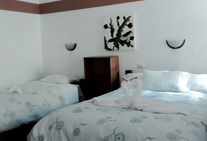 Hotel Las Orquídeas | Ollantaytambo | Urubamba | Perú 8