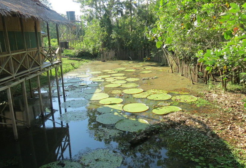 Albergue Reserva Indígena Irapay - Amazonas | Leticia | Amazonas | Colombia 8