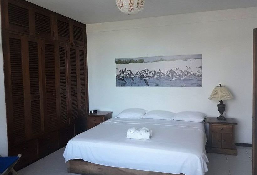 Hostal Galapagos House | Puerto Ayora | Galápagos | Ecuador 10