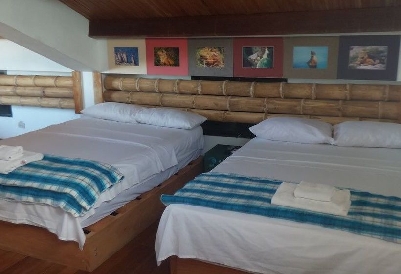 Hostal Galapagos House | Puerto Ayora | Galápagos | Ecuador 20