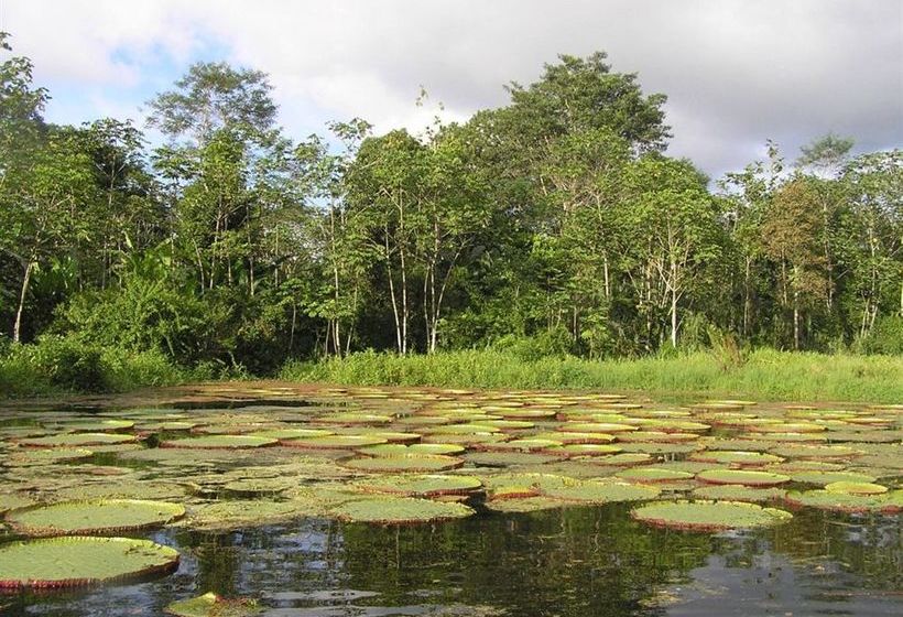 Hotel Amazonas Sinchicuy Lodge | Iquitos | Maynas | Perú 20