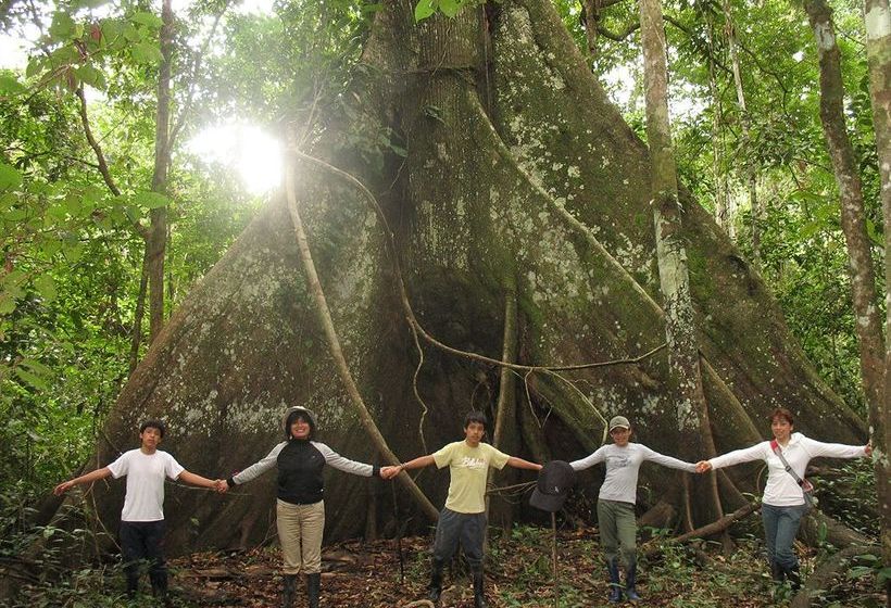 Hotel Amazonas Sinchicuy Lodge | Iquitos | Maynas | Perú 7