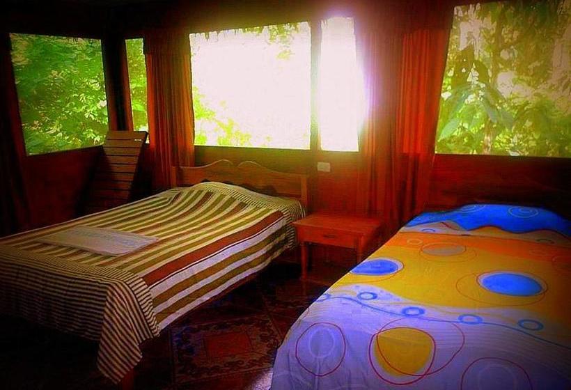 Hotel Amazon Eco Tours & Lodge | Iquitos | Maynas | Perú 17