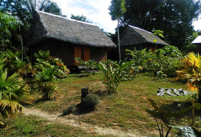 Hotel Amazon Eco Tours & Lodge | Iquitos | Maynas | Perú 8