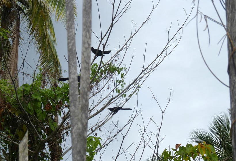 Hotel Hostal Capurgana | Capurganá | Chocó | Colombia 16