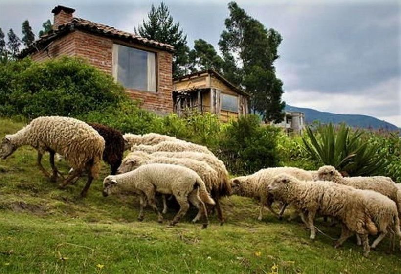 Hotel Cabañas Balcón Del Lago | Otavalo | Imbabura | Ecuador 12