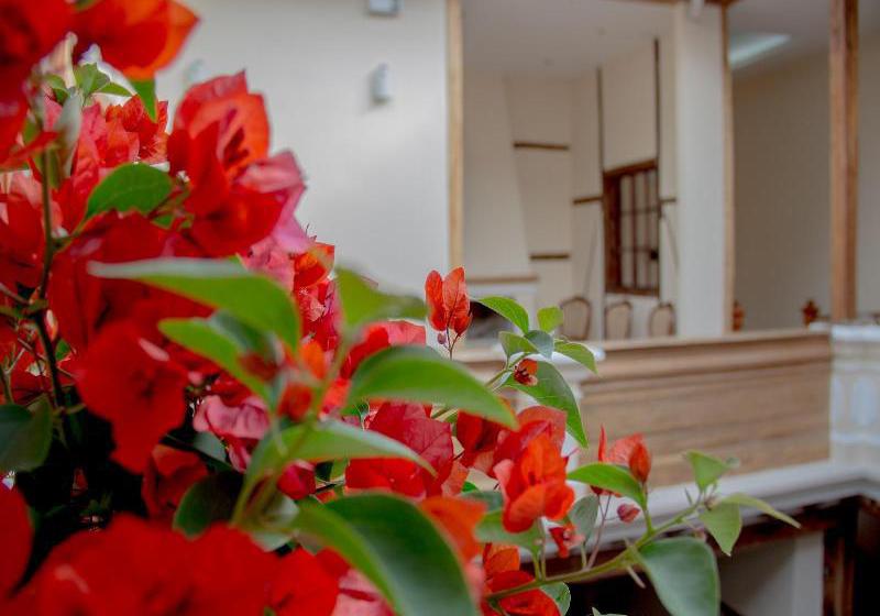 Hotel Casa El Eden | Quito | Pichincha | Ecuador 5