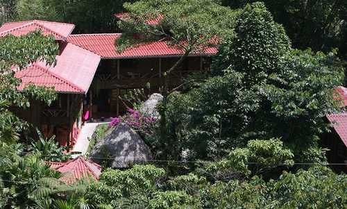 Hotel El Jardin Relax | Puyo | Pastaza | Ecuador 5