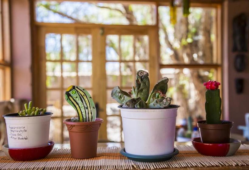 Hotel Pat'ta Hoiri | San Pedro de Atacama | Antofagasta | Chile 18