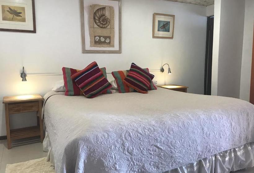 Hotel Pat'ta Hoiri | San Pedro de Atacama | Antofagasta | Chile 4