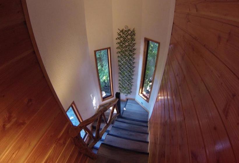 Hotel Hostal Andes Pucon | Pucon | Araucanía | Chile 20