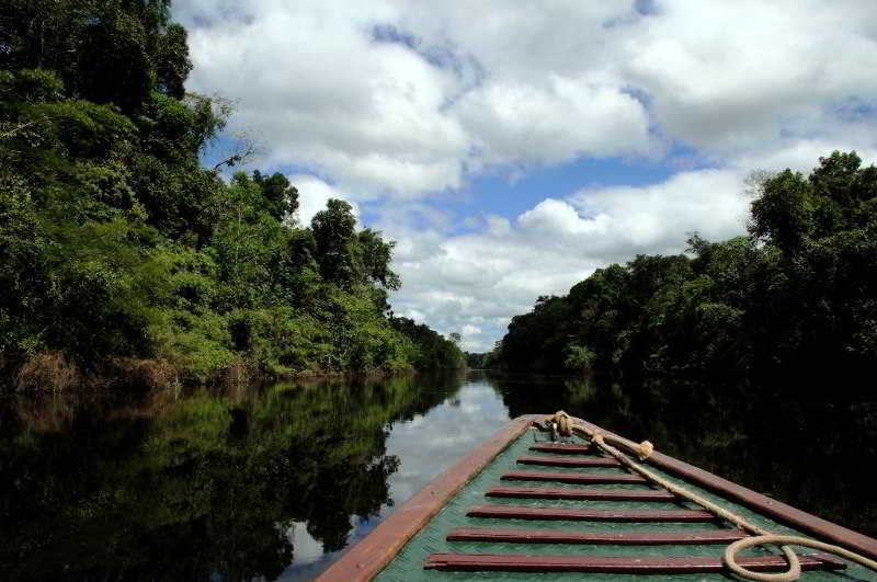 Hotel Pacaya Samiria Amazon Lodge Iquitos Maynas