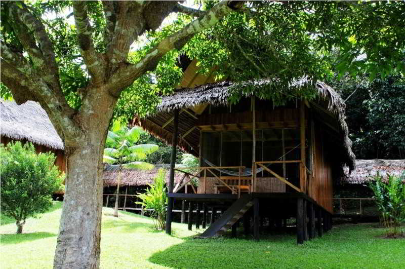 Hotel Pacaya Samiria Amazon Lodge | Iquitos | Maynas | Perú 3