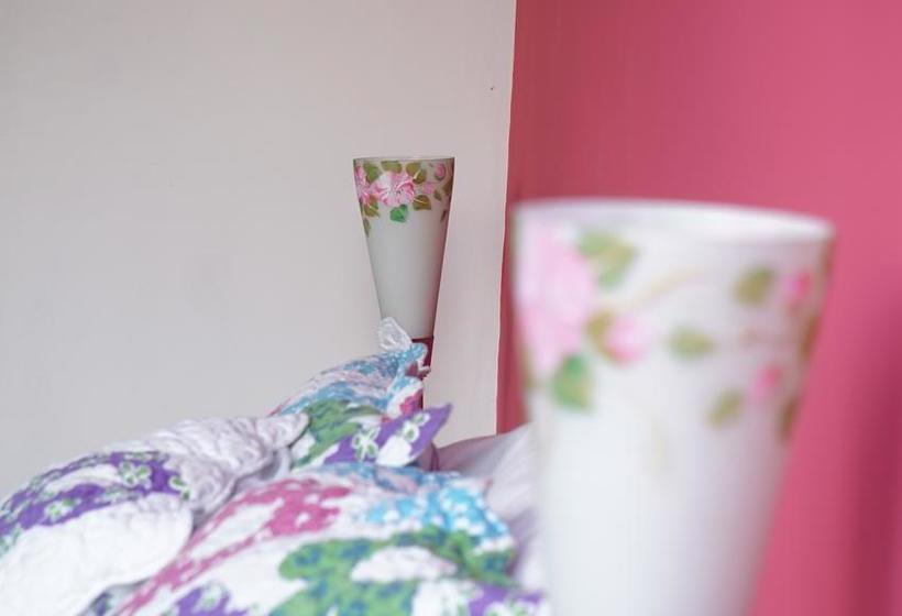 Mountain Hostel | Manizales | Caldas | Colombia 19