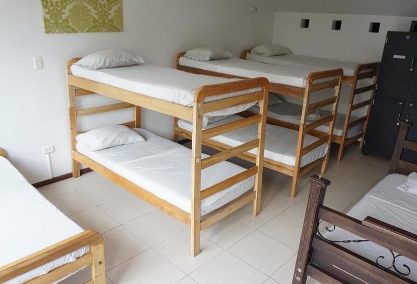 Mountain Hostel | Manizales | Caldas | Colombia 3